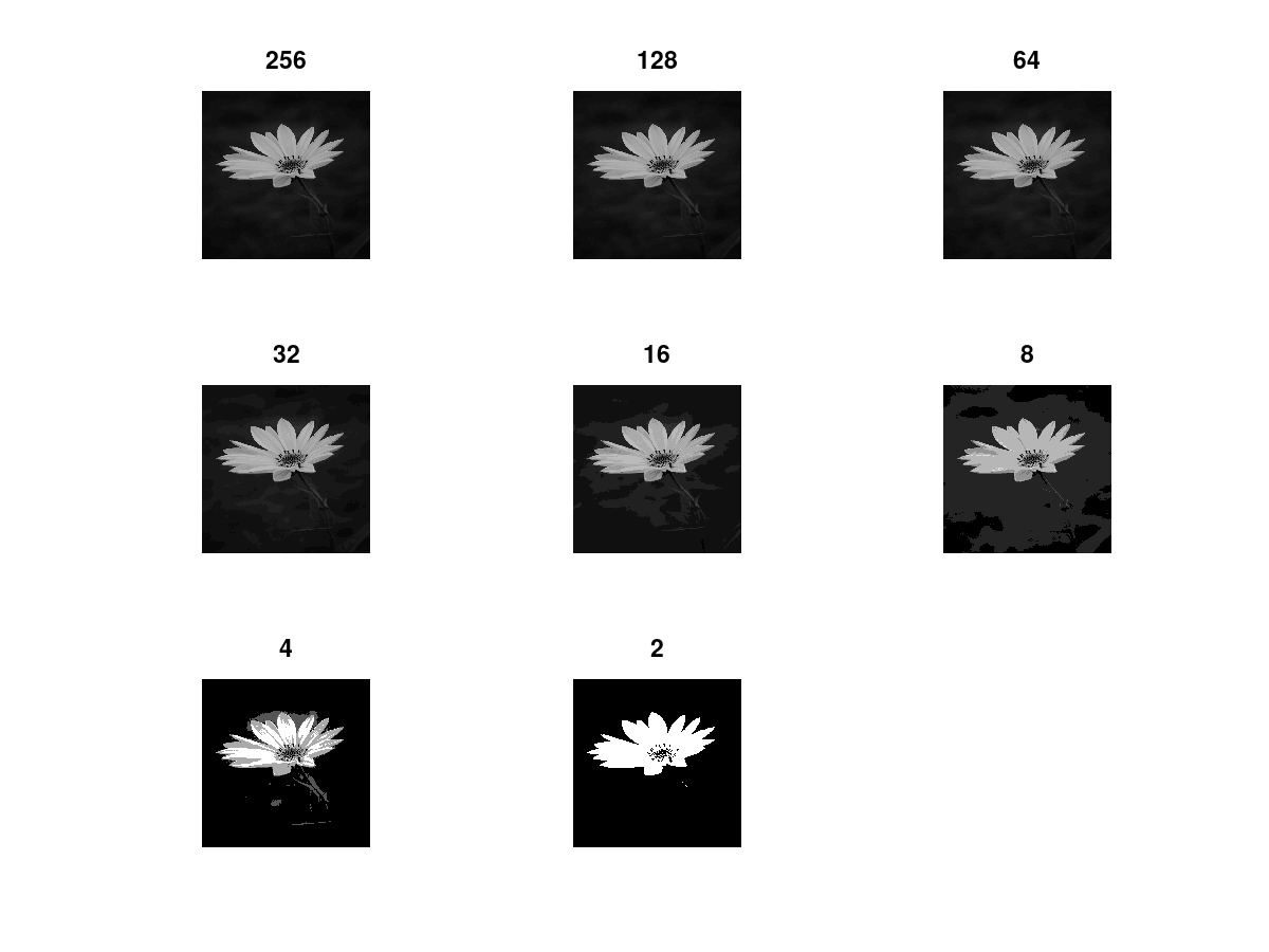 Intensity Level Resolution
