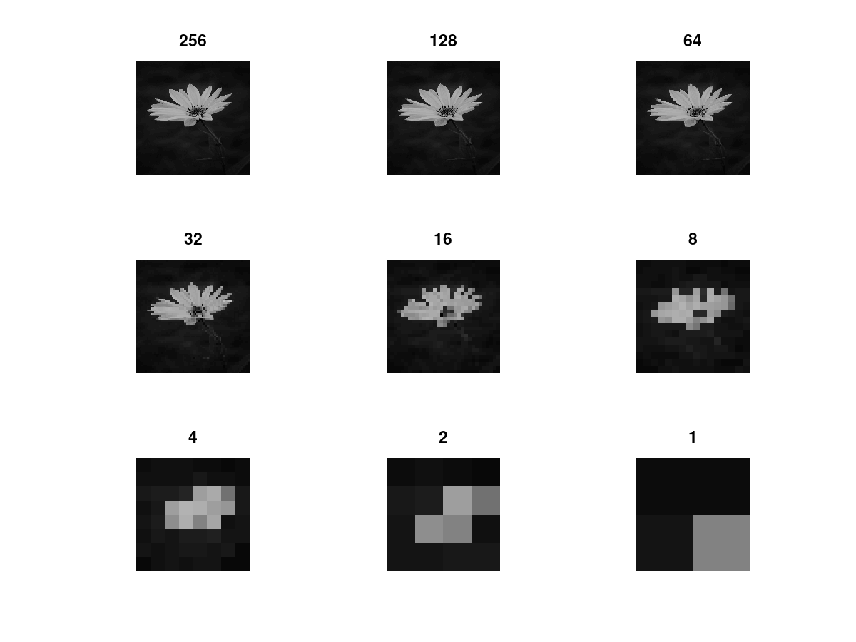 Spatial Resolution